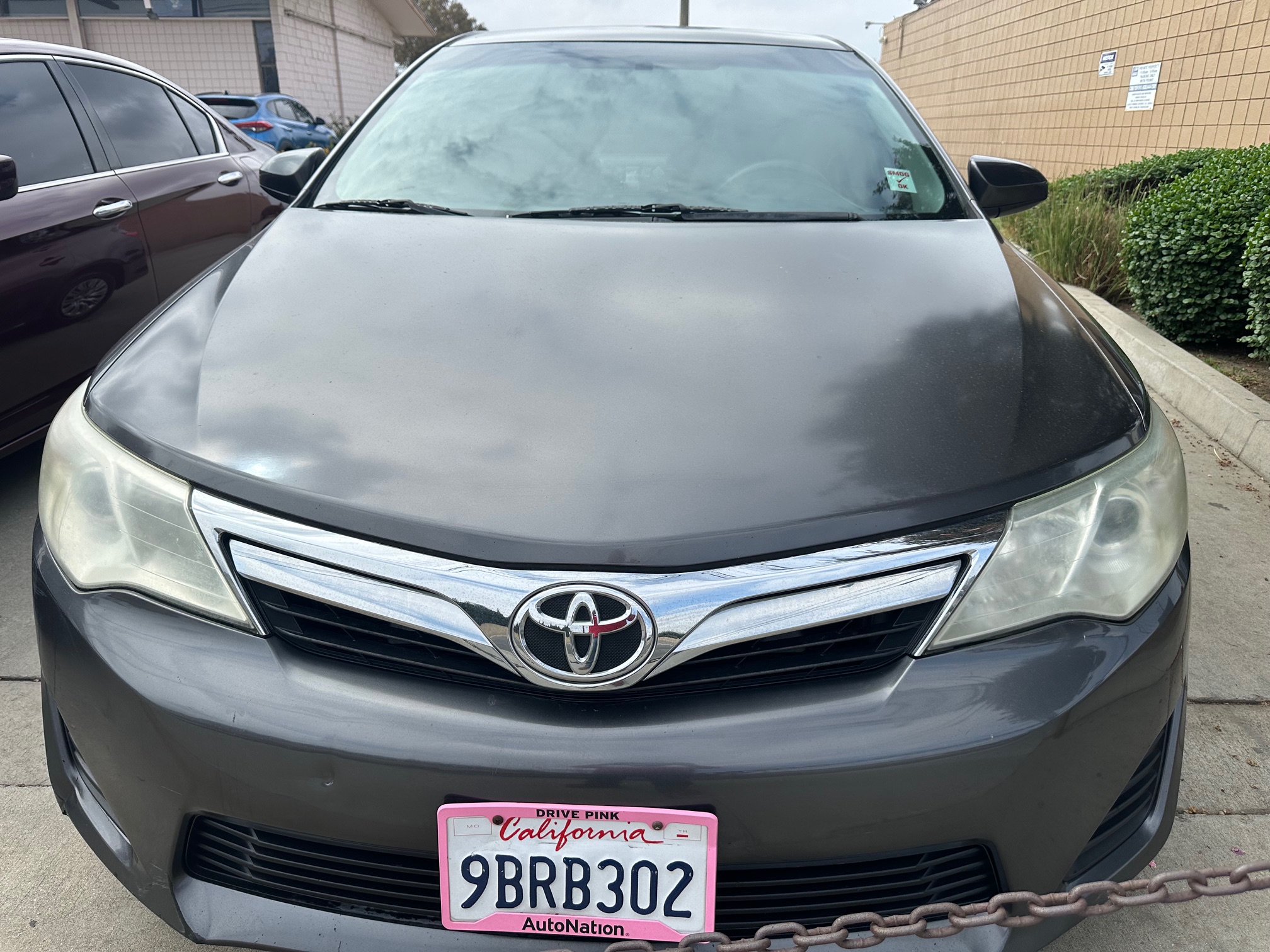 Toyota Camry LE- SE2013-1